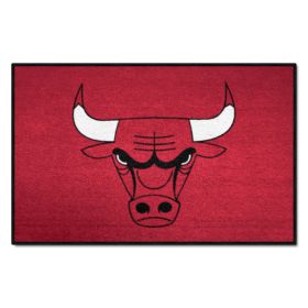 NBA - Chicago Bulls Starter Rug 19" x 30"